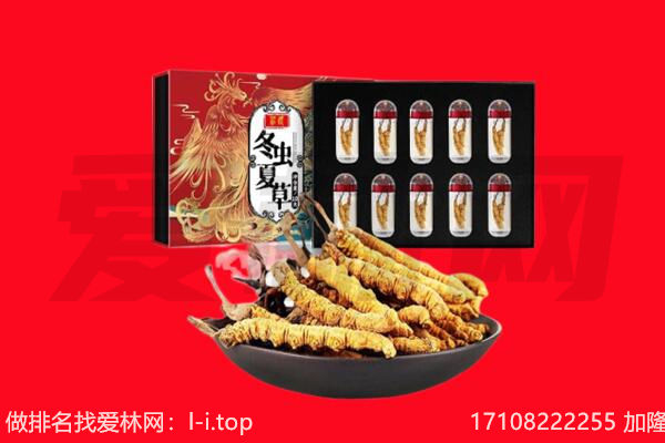 古交市回收虫草.jpg